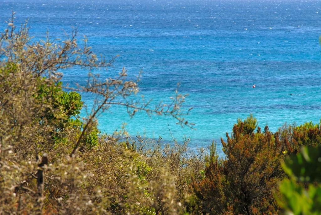 Le Sirene Ξενοδοχείο Portisco Εξωτερικό φωτογραφία
