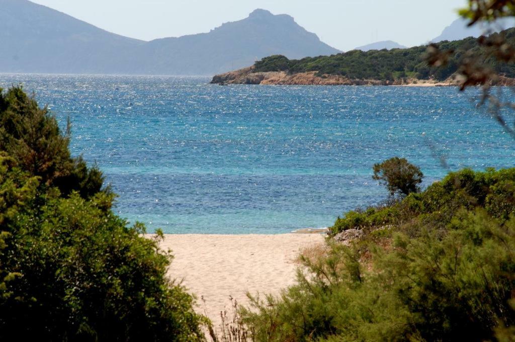 Le Sirene Ξενοδοχείο Portisco Εξωτερικό φωτογραφία